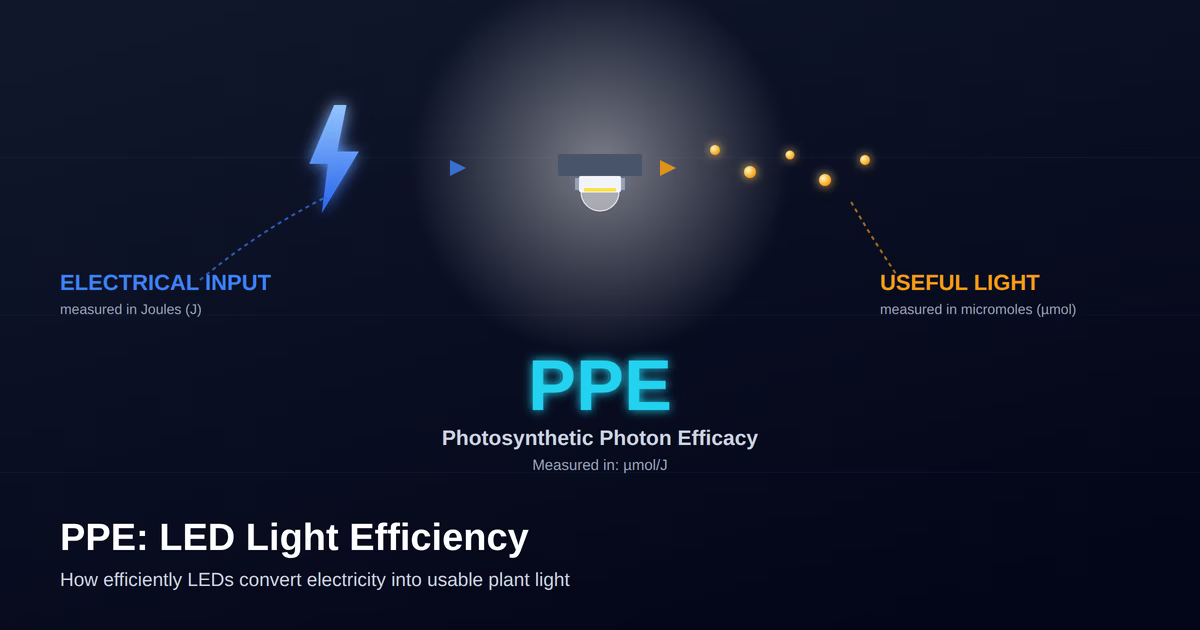 LED Efficacy (PPE): Where Does 1 Joule of Electricity Go?